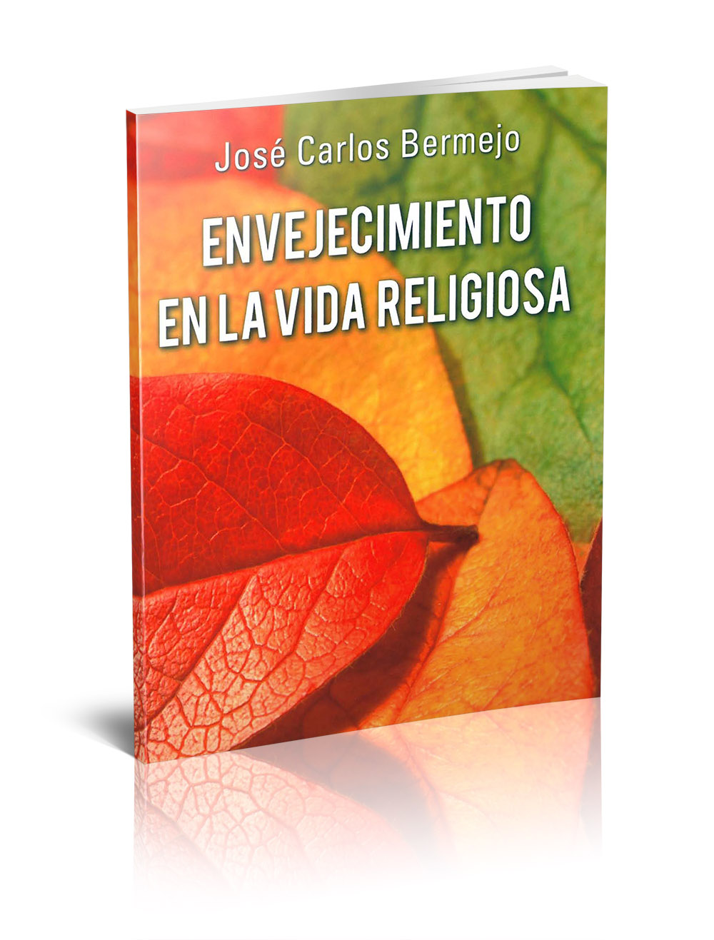 Envejecimiento en la vida religiosa