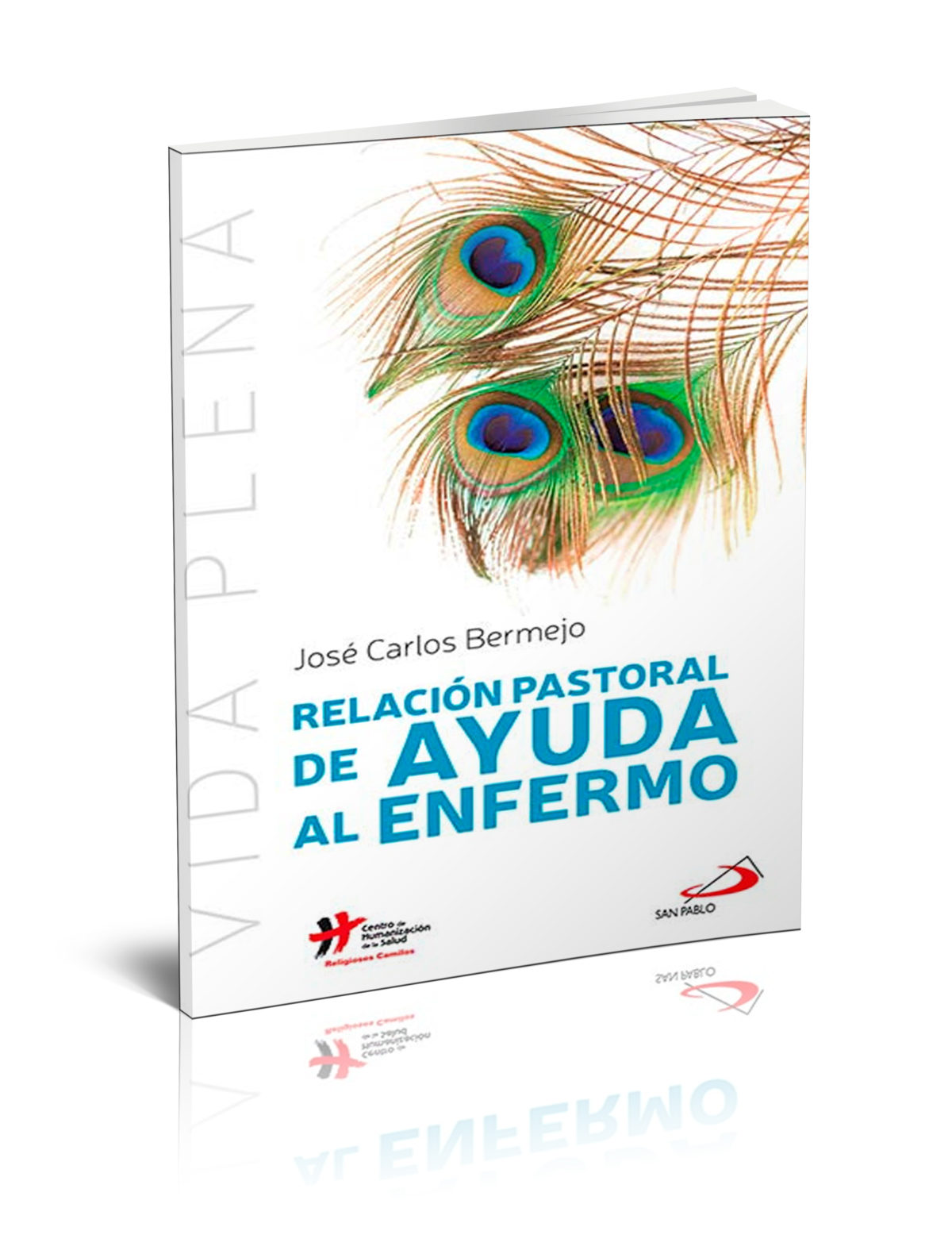 Relación Pastoral de ayuda al enfermo