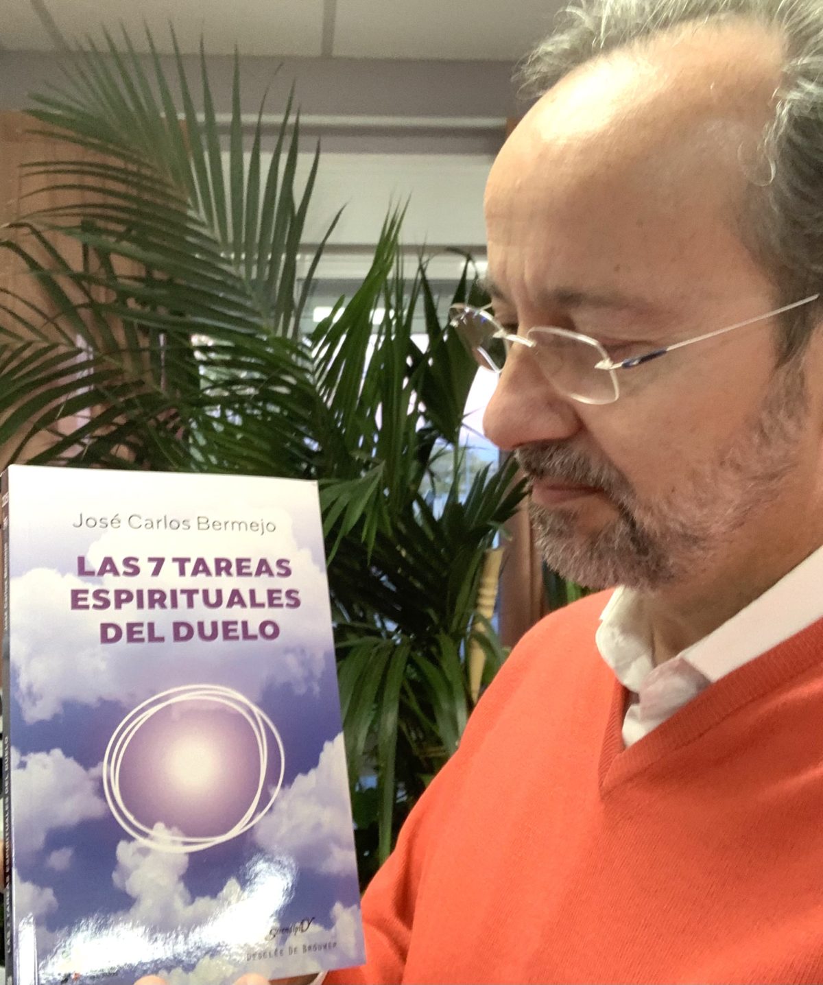 Nuevo libro de Bermejo