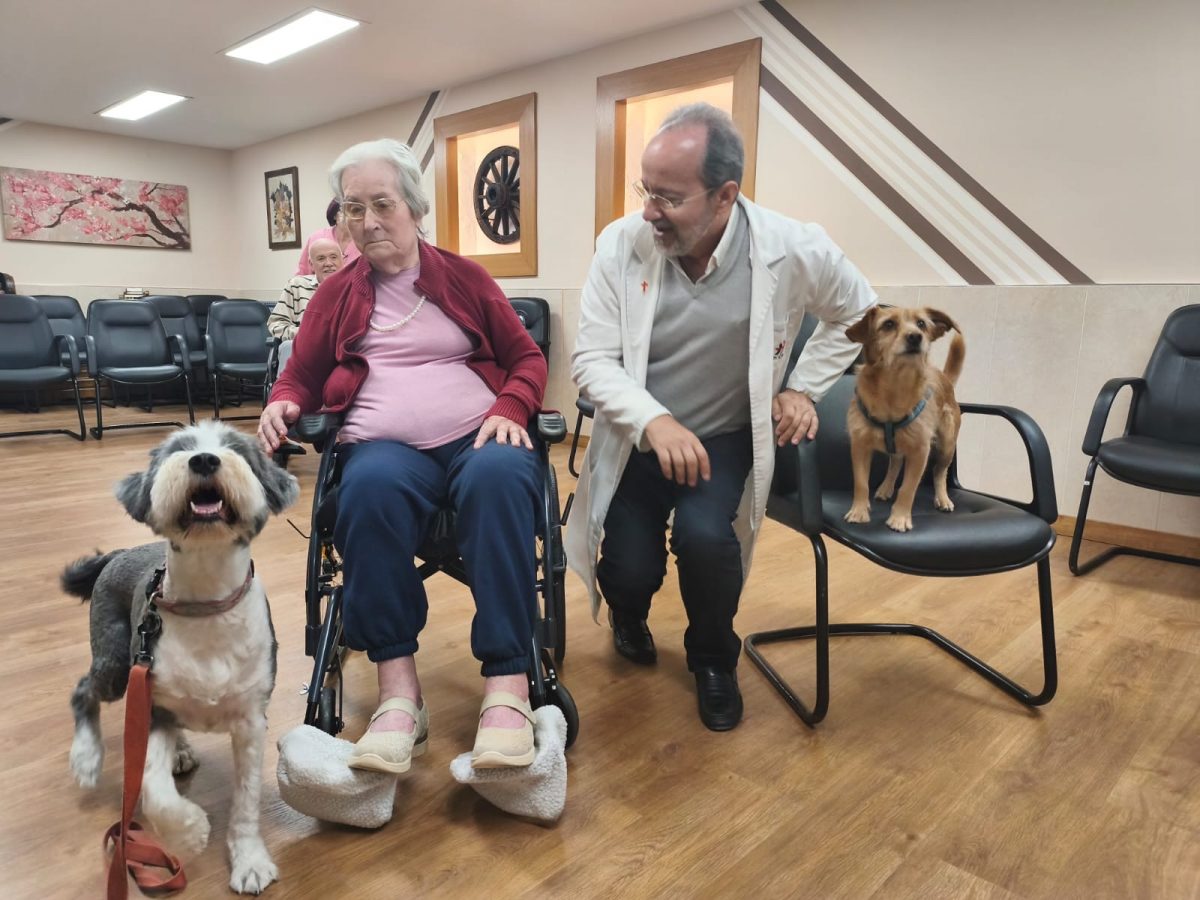 San Camilo: terapia canina