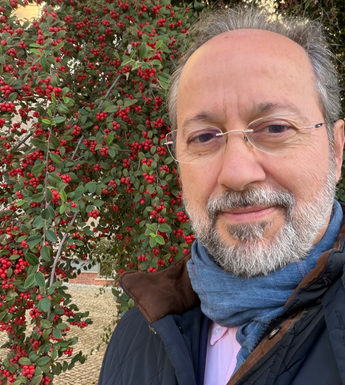 Publicaciones de Bermejo en 2025