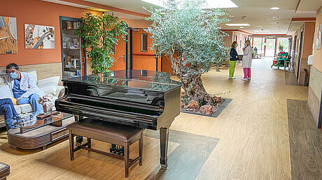 Paliativos San Camilo