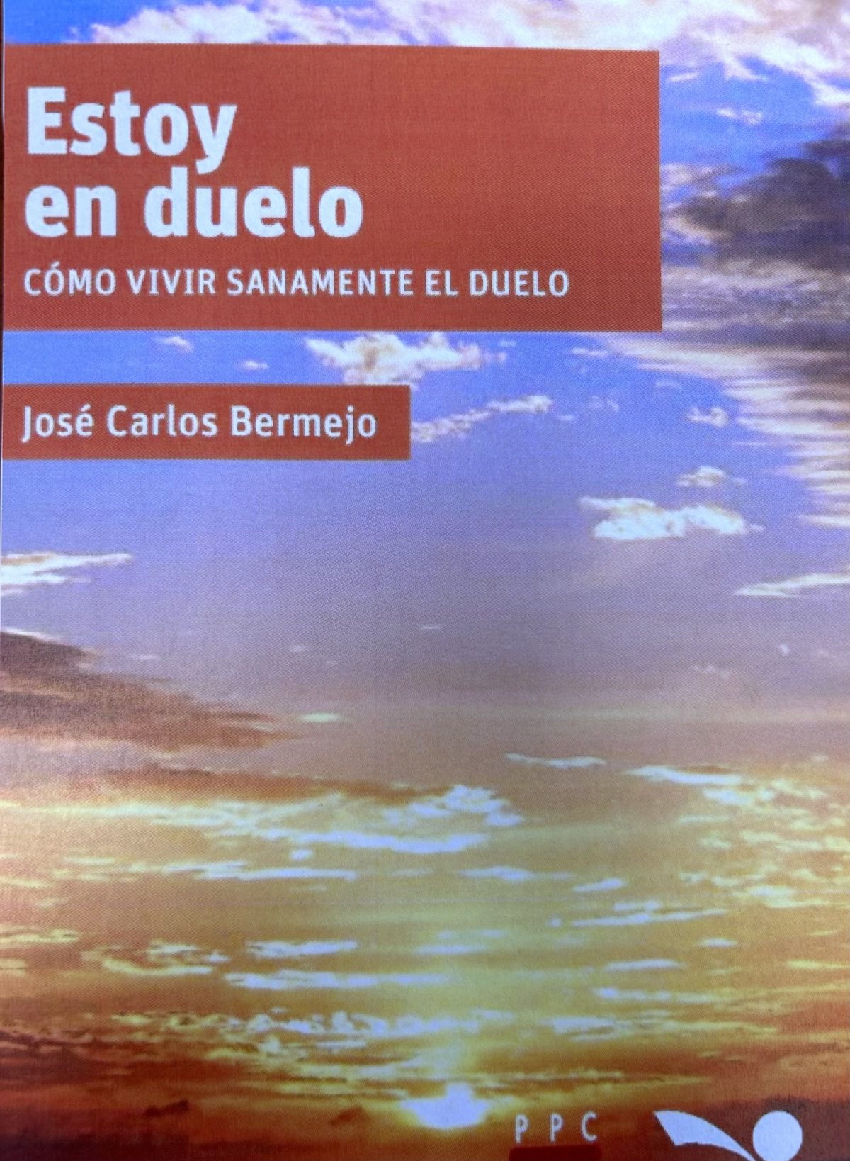 Libro de Bermejo en Argentina