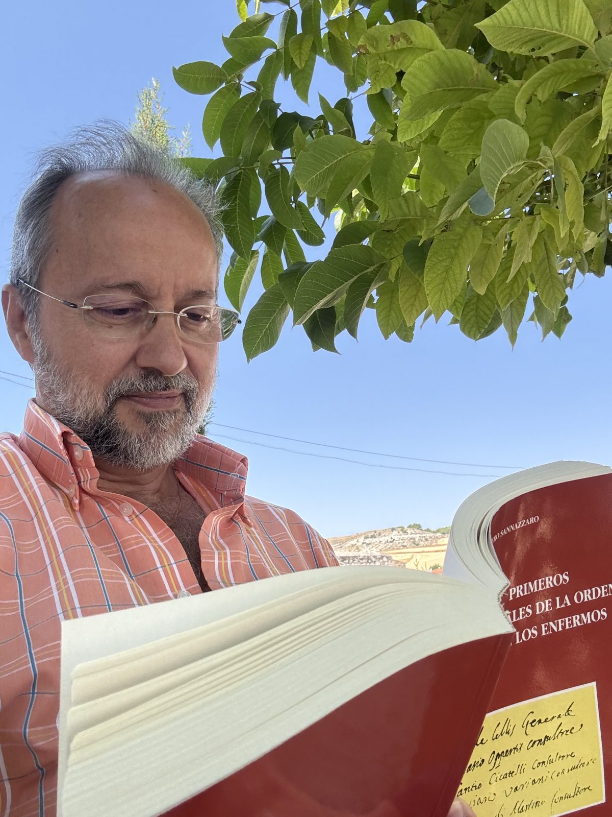 Camilos al principio