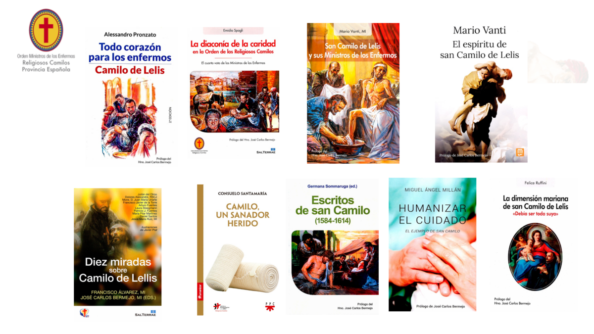 Literatura sobre humanización